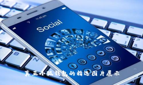 真正小狐钱包的精选图片展示