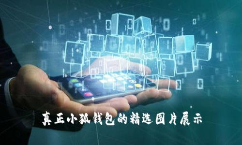 真正小狐钱包的精选图片展示