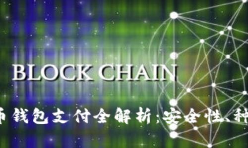 2023年虚拟币钱包支付全解析：安全性、种类及使用指南