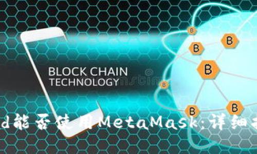 iPad能否使用MetaMask：详细指南