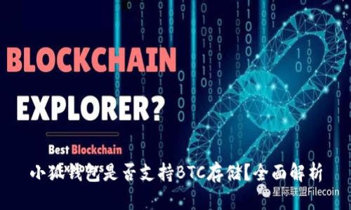 小狐钱包是否支持BTC存储？全面解析