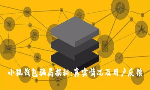 小狐钱包骗局揭秘：真实情况及用户反馈