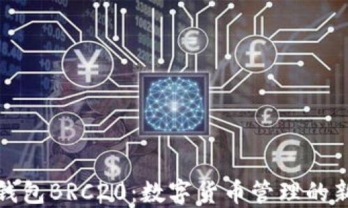 
小狐钱包BRC20：数字货币管理的新选择