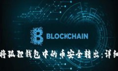 如何将狐狸钱包中的币安全转出：详细指南