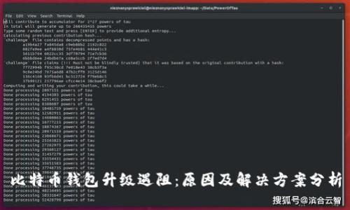 比特币钱包升级遇阻：原因及解决方案分析