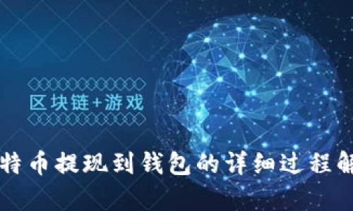 比特币提现到钱包的详细过程解析