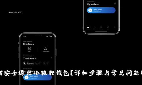 如何安全退出小狐狸钱包？详细步骤与常见问题解析