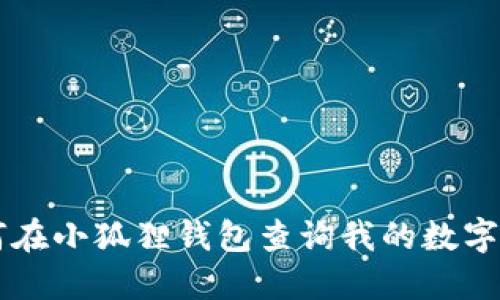 如何在小狐狸钱包查询我的数字货币